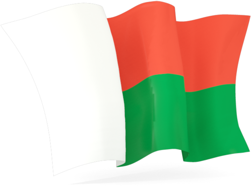 Flag Of Madagascar Gif Clipart (640x480), Png Download