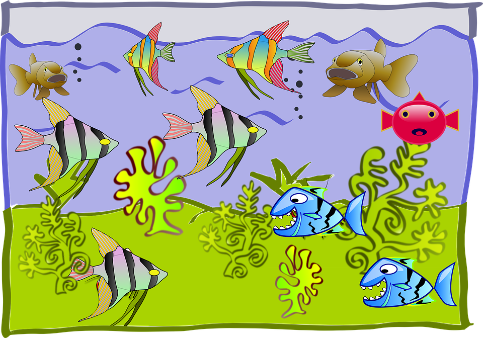 Como Se Sentirán Vivindo Tan Lonxe Da Súa Casa - Drawing On Fish Tank Clipart (960x672), Png Download