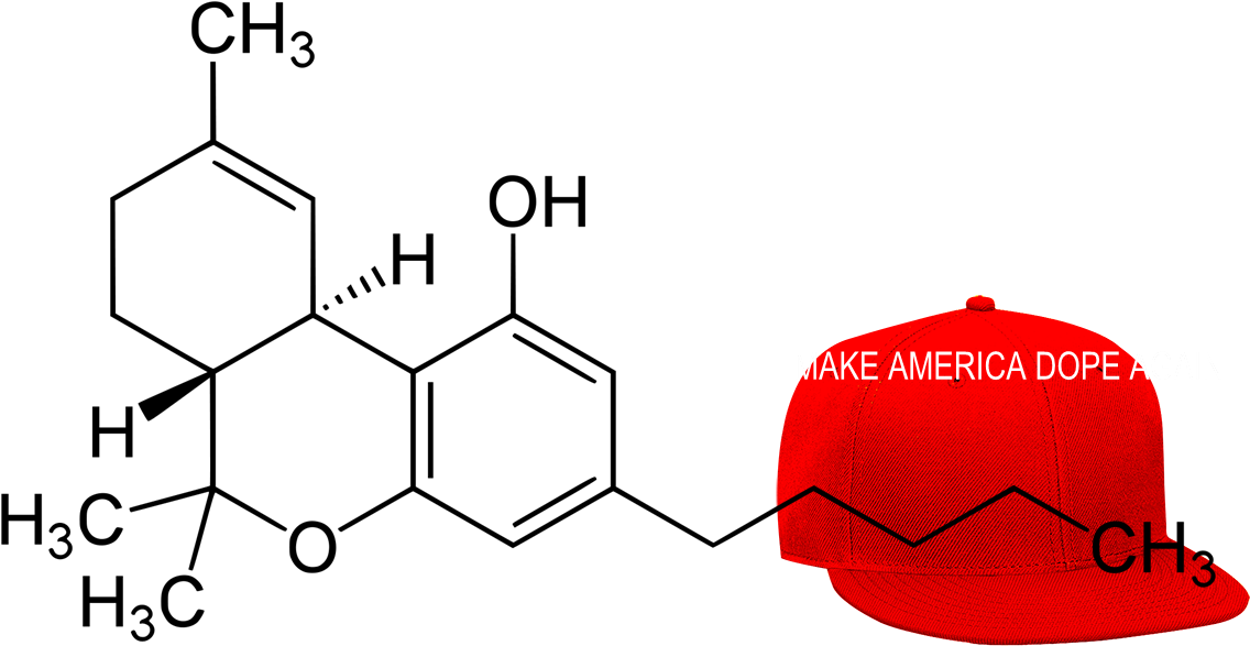 Make America Dope Again - Thc Molecular Structure Clipart (1162x669), Png Download