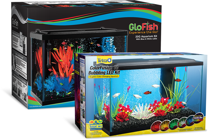 Aquarium Kits Make Setting Up Quick And Easy Also, - 10 Gallon Glofish Tetra Tank Clipart (677x458), Png Download