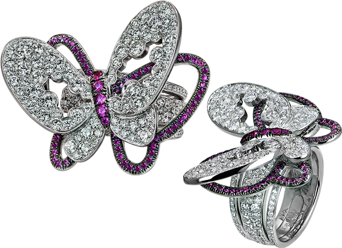 Specifications - Butterfly Clipart (700x700), Png Download