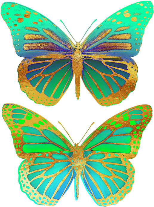 Click And Drag To Re-position The Image, If Desired - Lycaenid Clipart (583x700), Png Download