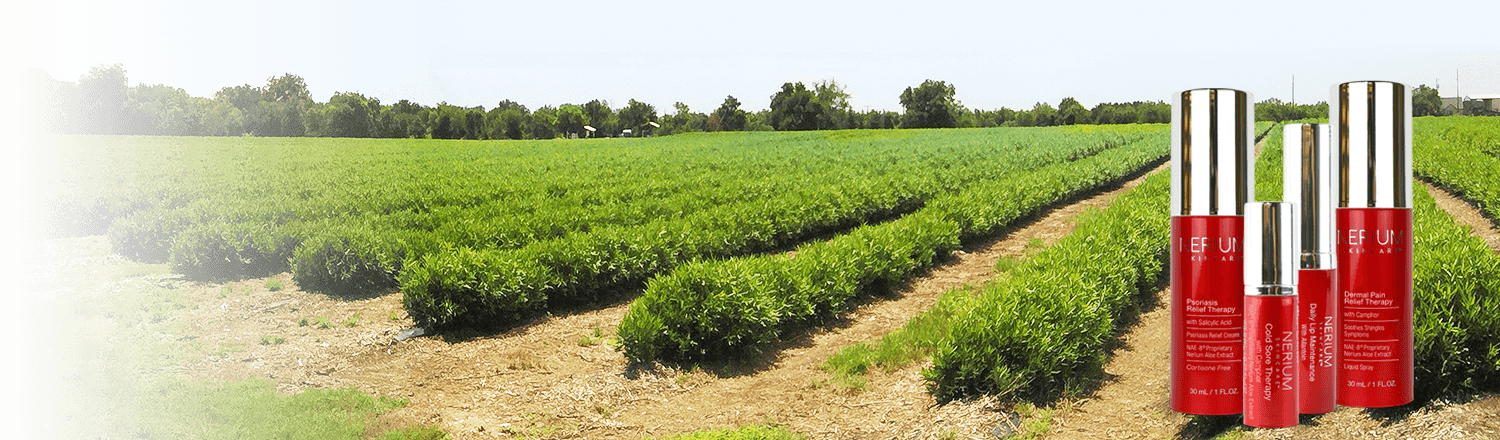 Healthy Skin For Life - Field Clipart (1500x440), Png Download