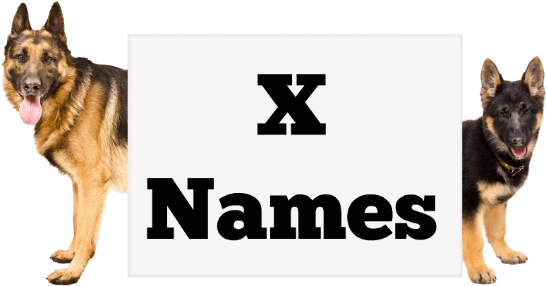 Girl Names - Gambar Cania Citta Sexi Clipart (800x419), Png Download