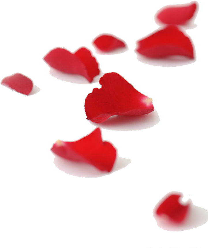 Imagenes De Love You Forever Clipart (724x1024), Png Download