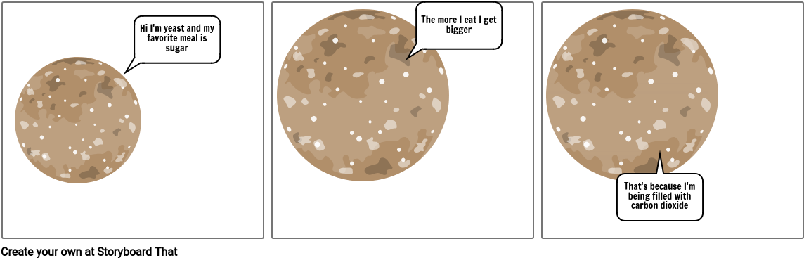 Yeast - Circle Clipart (1165x386), Png Download