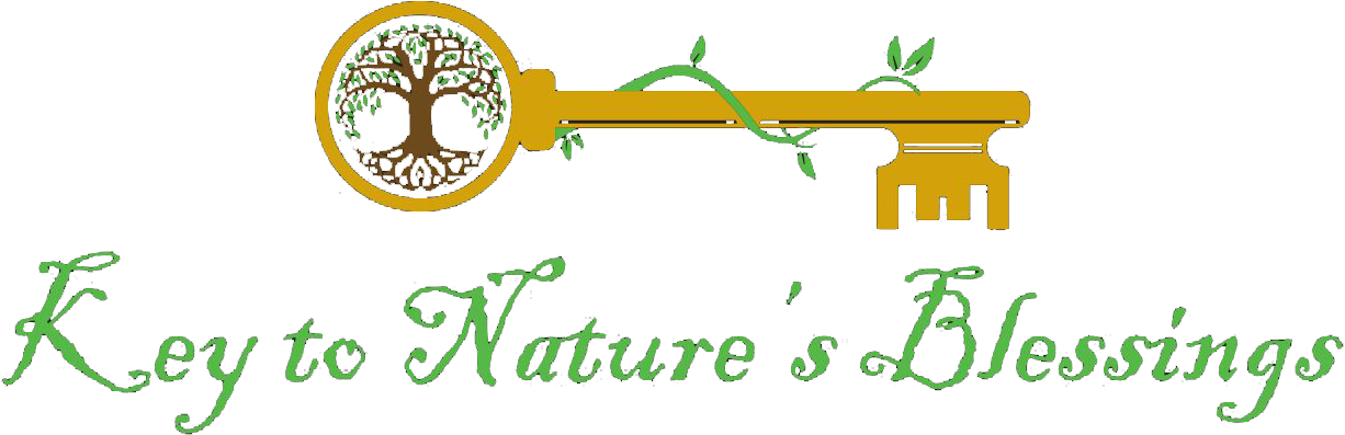 Key To Nature's Blessings - Theranaka Clipart (1226x397), Png Download