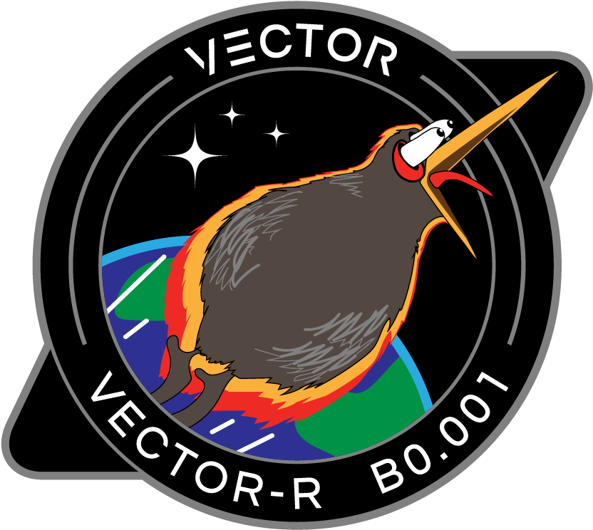 18 May - Kiwi Clipart (901x901), Png Download