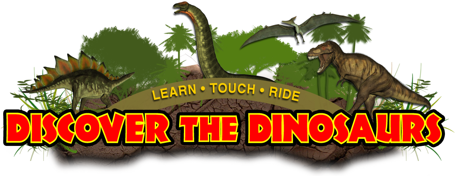 Photos By Tammie Arroyo, Aff-usa - Lesothosaurus Clipart (1500x576), Png Download