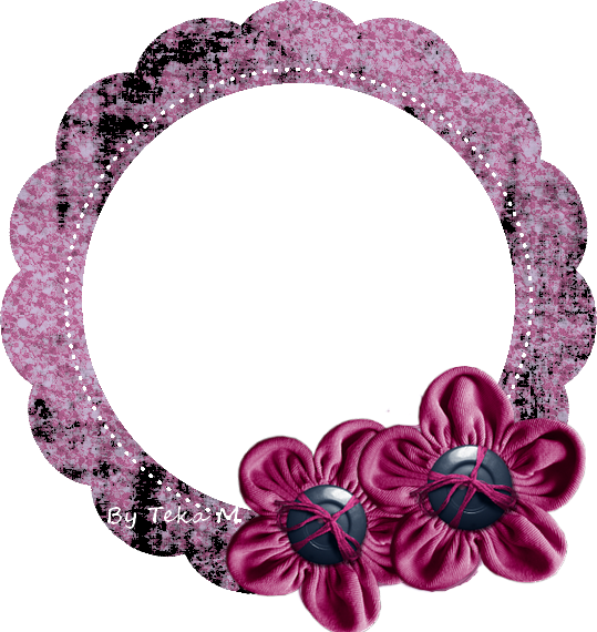 Postado Por Thelma Menezes - Moth Orchid Clipart (539x570), Png Download