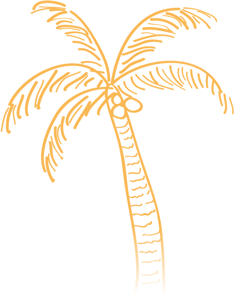 More Information About Central America Central America - Palm Tree Doodle Transparent Clipart (500x680), Png Download