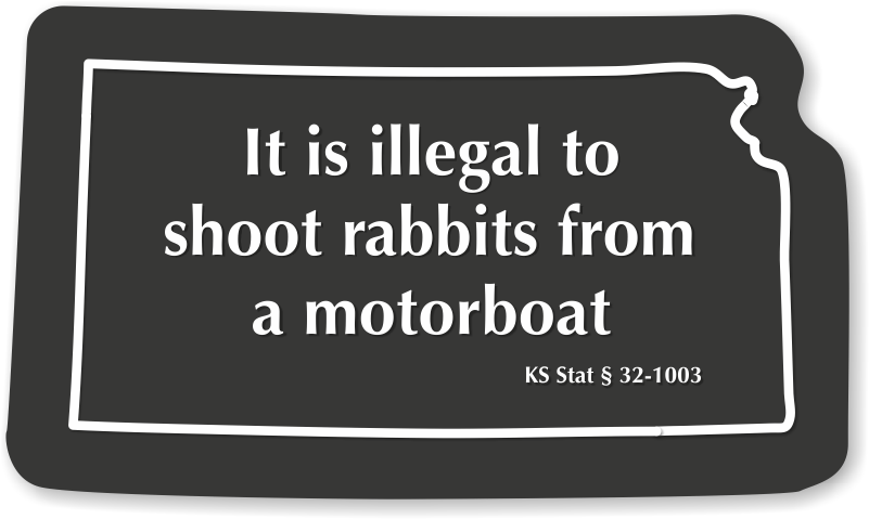 Kansas Rabbits Safety Novelty Law Sign - Wifi Albania Clipart (800x800), Png Download