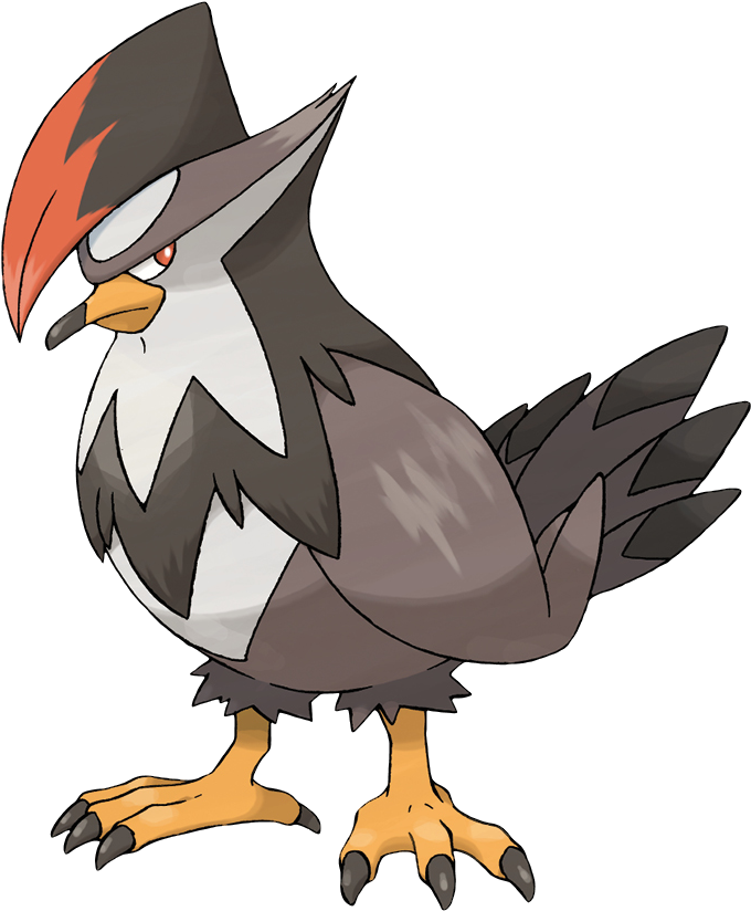 Staraptor - Pokemon Starly Evolution Clipart (823x823), Png Download