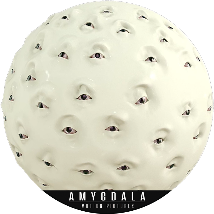 Circle Clipart (1105x892), Png Download