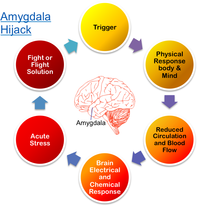 Brain Called The Amygdala, And If Your Brain Thinks - 6 S In Management Clipart (791x678), Png Download