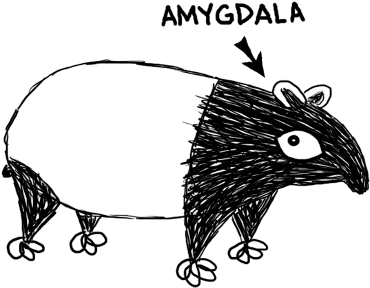 Amygdalatapir - New World Porcupine Clipart (670x532), Png Download