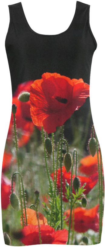 Red Poppies, Poppy, Nature 001 - Corn Poppy Clipart (1000x1000), Png Download