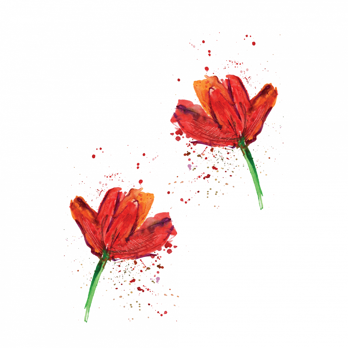 Temporary Tattoo Poppies - Orange Lily Clipart (1110x1110), Png Download