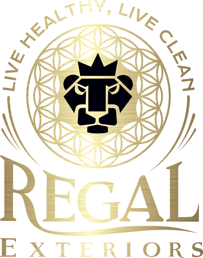 Colorful Flower Of Life Tattoo Clipart (651x826), Png Download