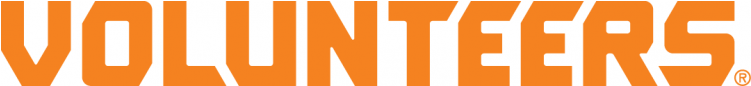 Tennessee Volunteers Iron On Stickers And Peel-off - Orange Clipart (750x930), Png Download