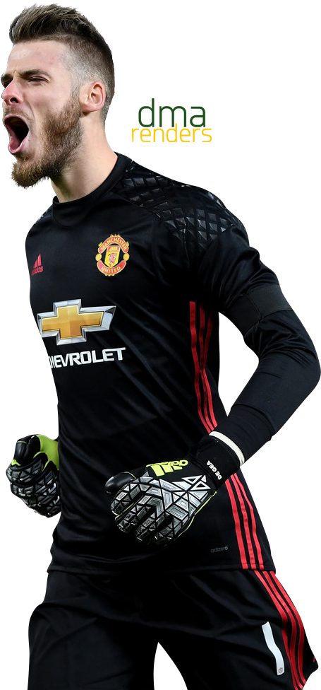 David De Gea Png - Player Clipart (495x990), Png Download