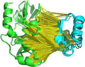 We Can See That The Ca-ca Distance Restraints Are Mostly - Graphic Design Clipart (800x389), Png Download