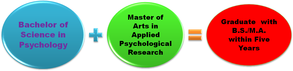 Research Psych - Meru Clipart (1231x314), Png Download