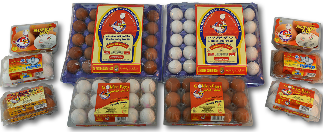Regular Farm Fresh Golden Eggs - Al Jazira Golden Eggs Clipart (1077x450), Png Download