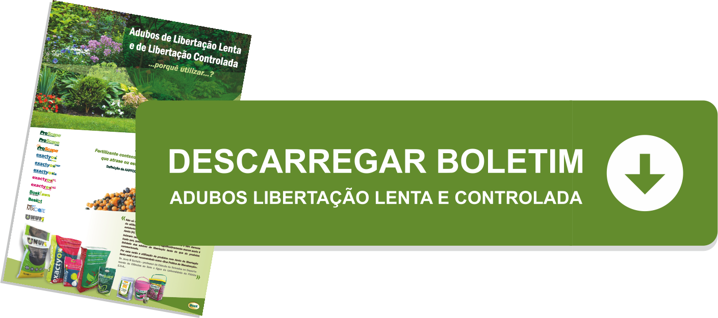 But01 - Flyer Clipart (1408x625), Png Download