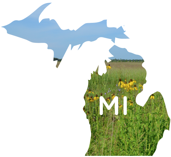 Shop - State Of Michigan Clipart (600x550), Png Download