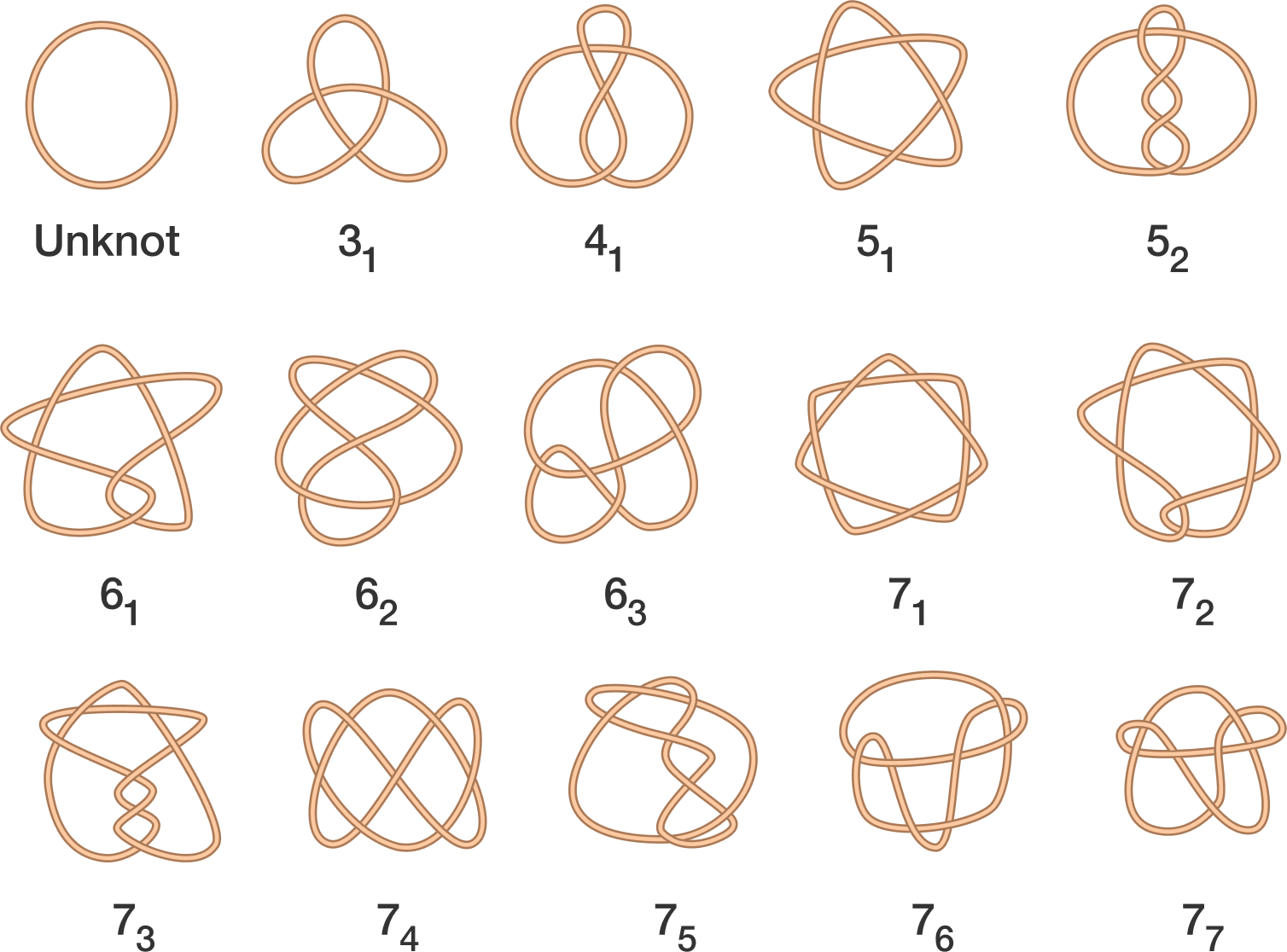 By Gluing Together The Ends Of The Ropes In The Following - 3 Crossing Knot Clipart (1508x1116), Png Download