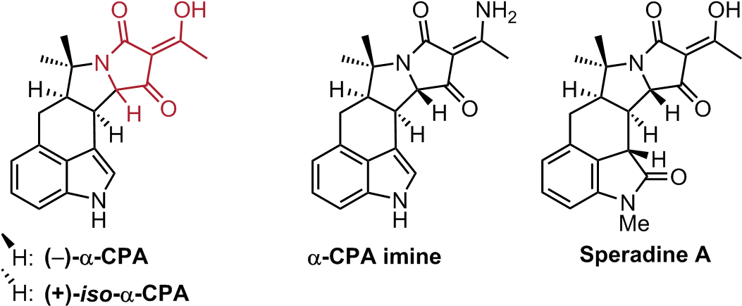 Cyclopiazonic Acids Were Isolated In 1968 By Holzapfel - Draw A Stepwise Mechanism For The Following Reaction Clipart (1060x440), Png Download