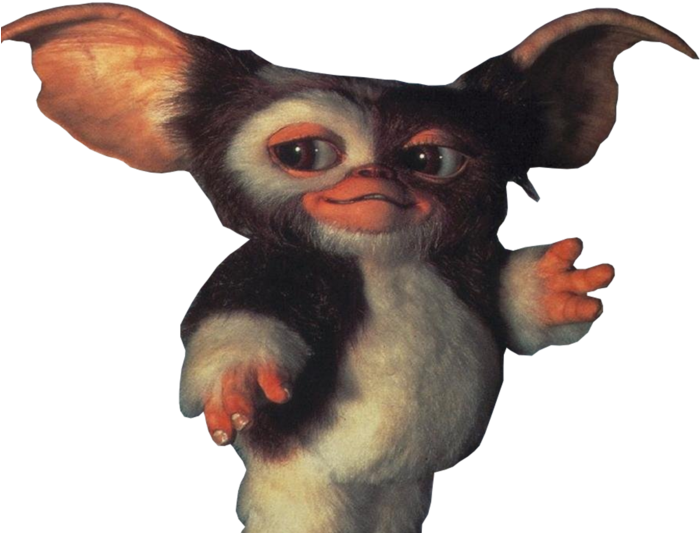 Gizmo Png - Gremlins Before They Change Clipart (800x600), Png Download