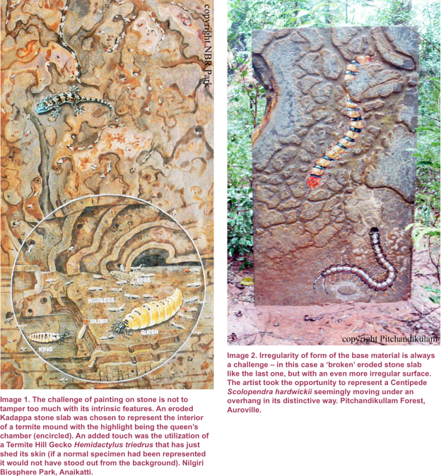 Visual Arts Clipart (624x674), Png Download