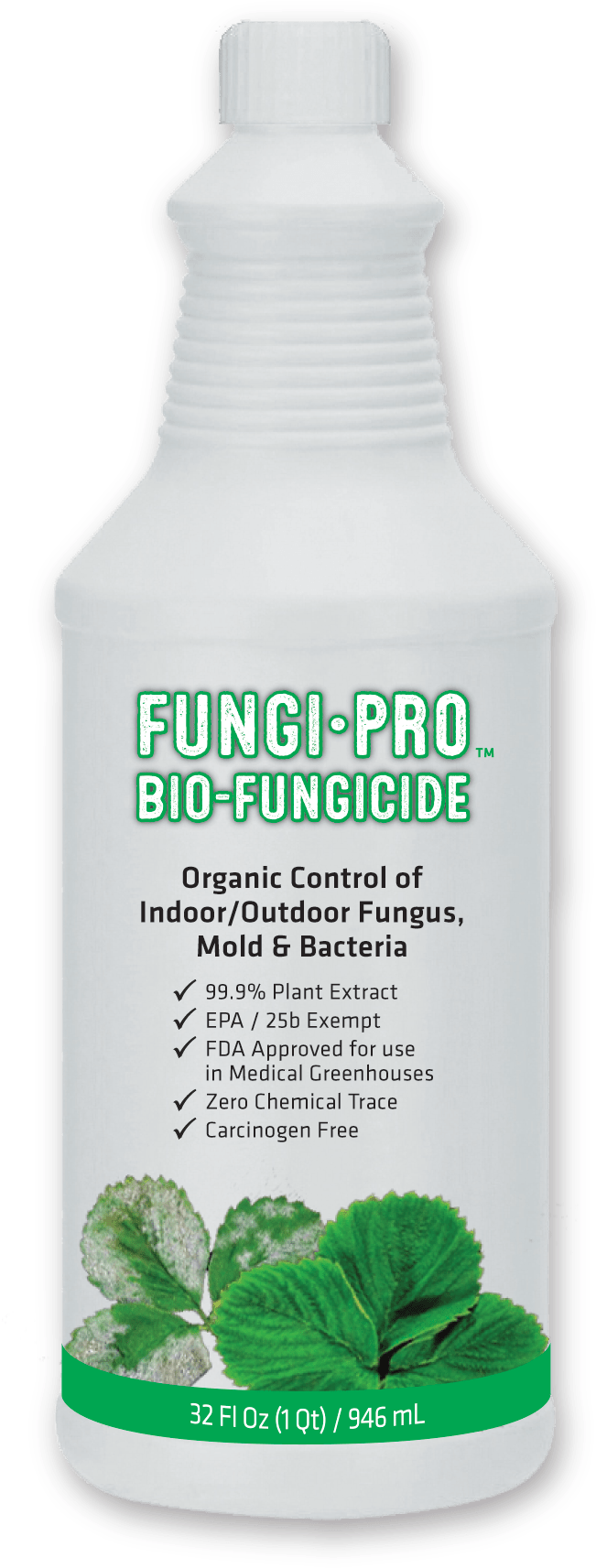 Categories - Hair Care Clipart (675x1800), Png Download