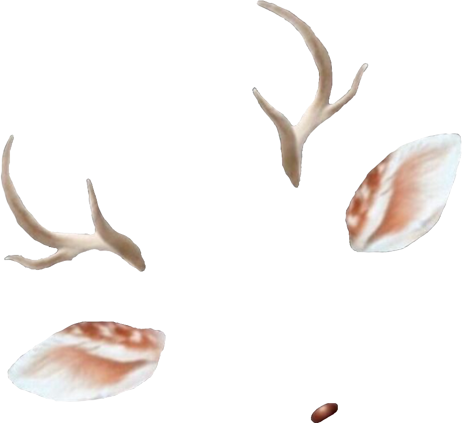 #snapchat #deer #filter - Snapchat Deer Filter Transparent Clipart (1024x976), Png Download