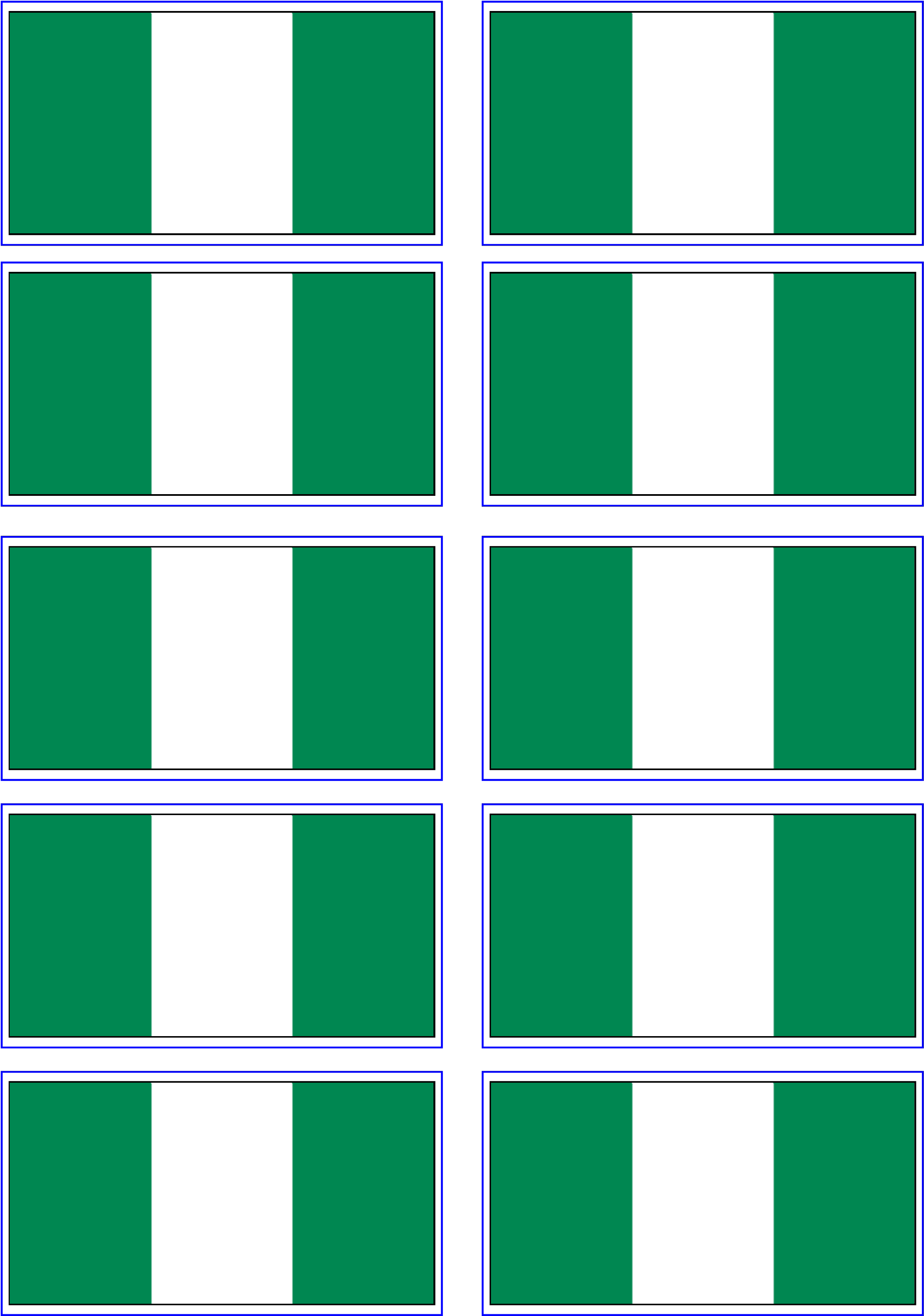 Nigeria Flag Main Image - Flag Clipart (2183x3108), Png Download