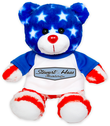 Shr Stars N' Stripes Teddy - Teddy Bear Clipart (600x600), Png Download