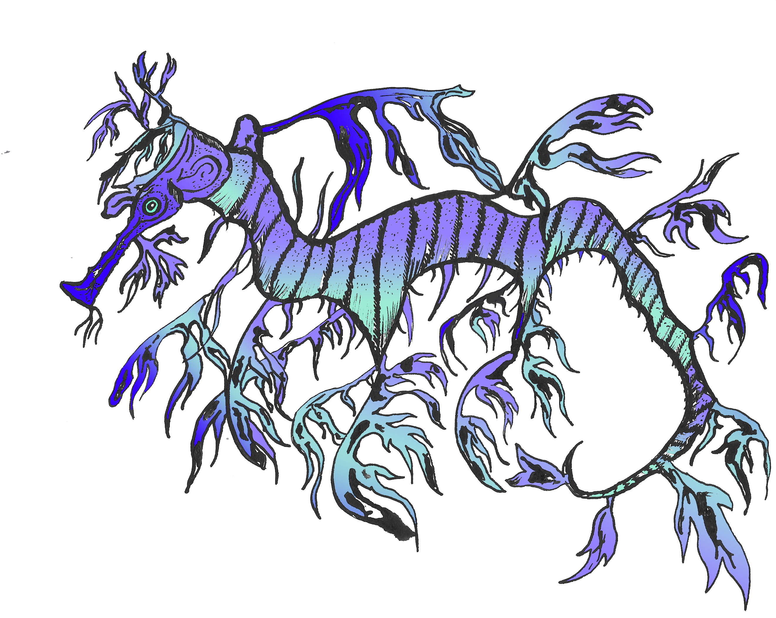 Sea Dragon Drawing - Illustration Clipart (2640x2110), Png Download