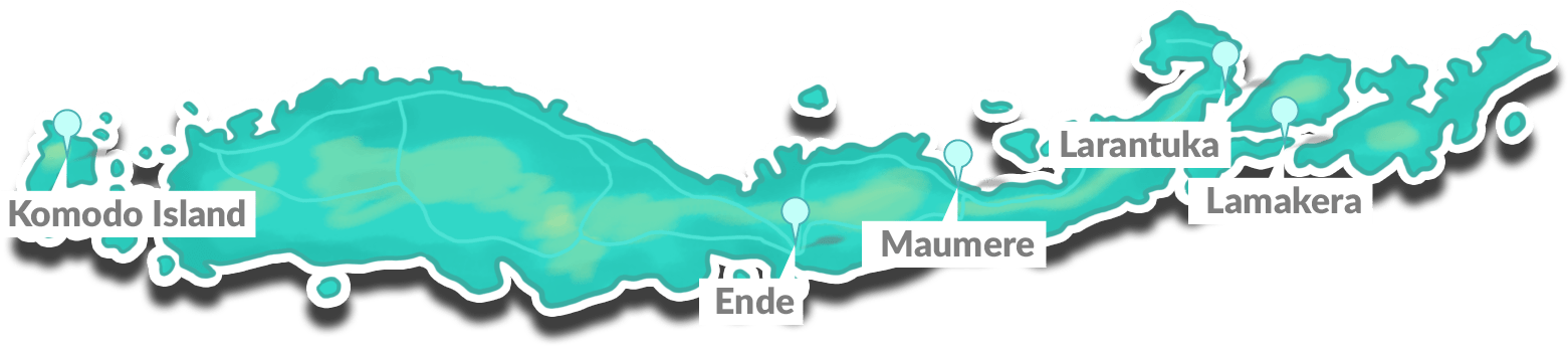 Perfect Soft Watercolor Floral Wedding Elements , Png - Map Clipart (1561x344), Png Download