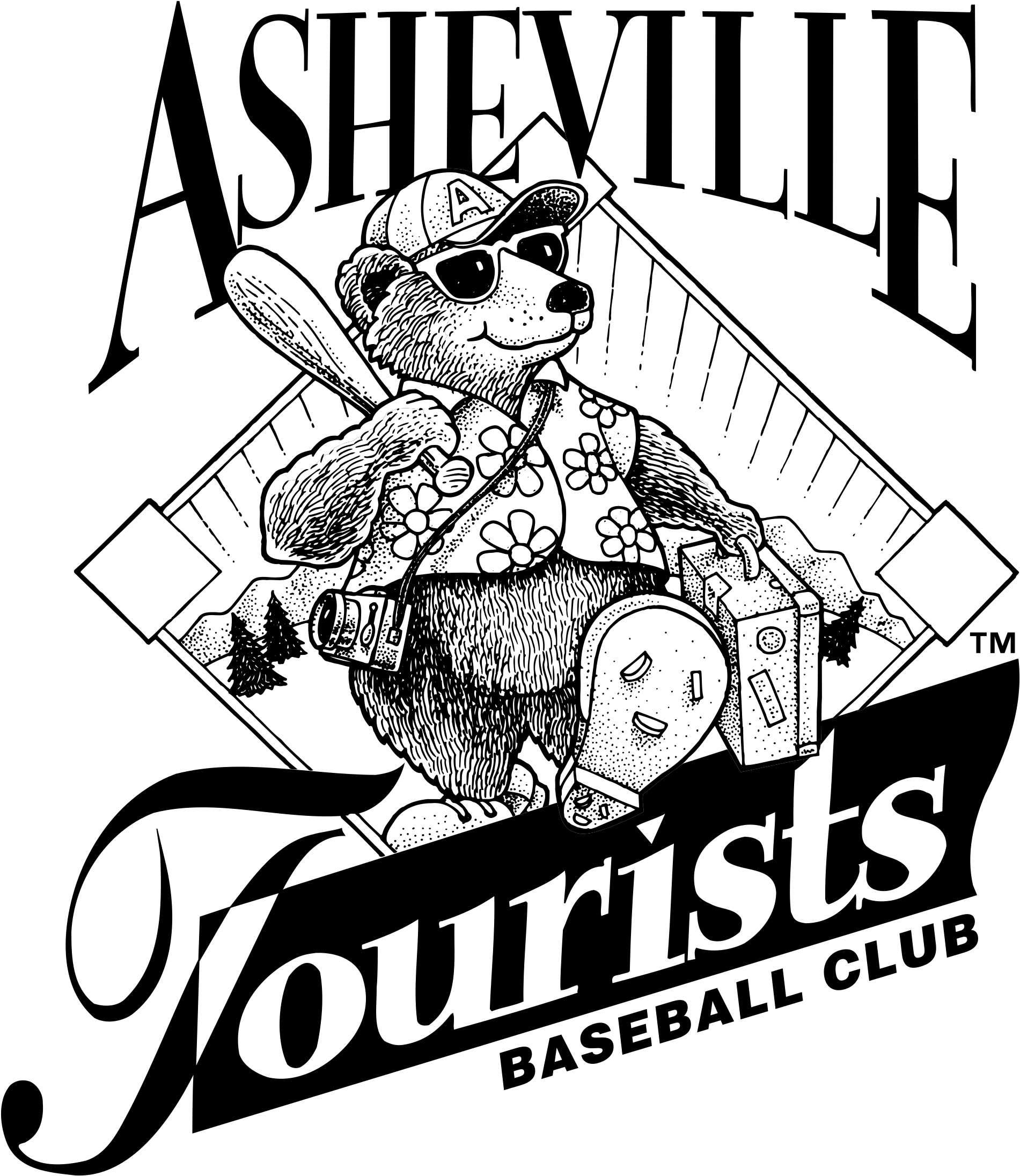 Asheville Tourists Logo Png Transparent - Asheville Tourists Clipart (2400x2400), Png Download