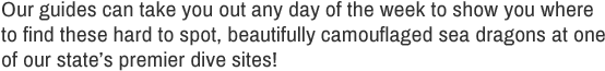 Leafy Sea Dragon Text - Quotes About You Broke Me Clipart (960x350), Png Download