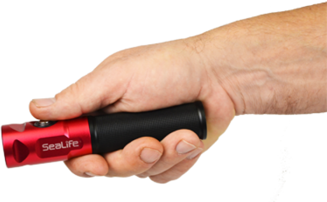 Sports Equipment Clipart (700x700), Png Download