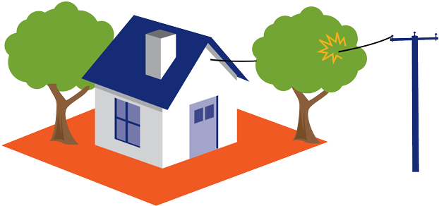 Tree Zone Diagram Colour - Power Lines Near Trees Clipart - Png Download (800x537), Png Download