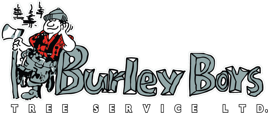 Burley Boys Tree Service, West Vancouver, North Vancouver, Clipart (933x396), Png Download