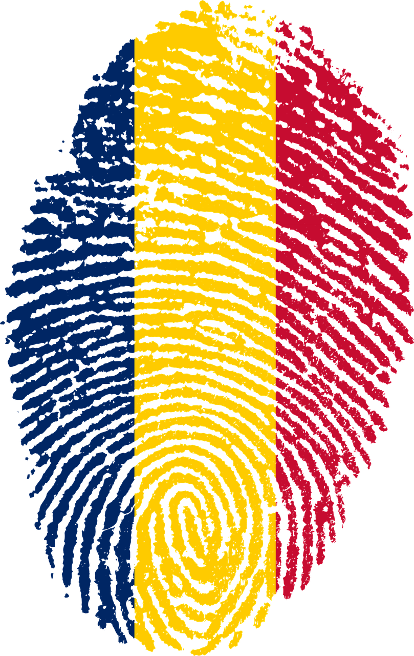 Travel, Chad, Flag, Fingerprint, Country, Pride - Guinea Flag Fingerprint Clipart (809x1280), Png Download