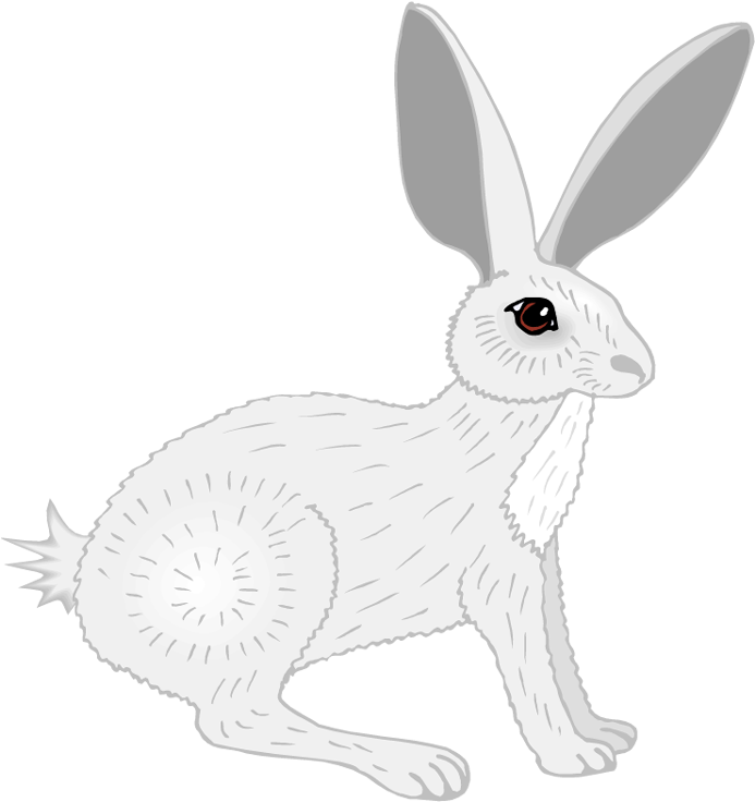 Jack Rabbit Clipart Arnab - Domestic Rabbit - Png Download (702x750), Png Download