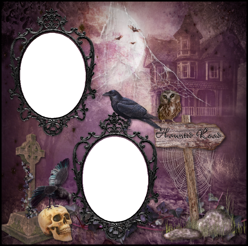 Picture Frame Clipart (800x794), Png Download