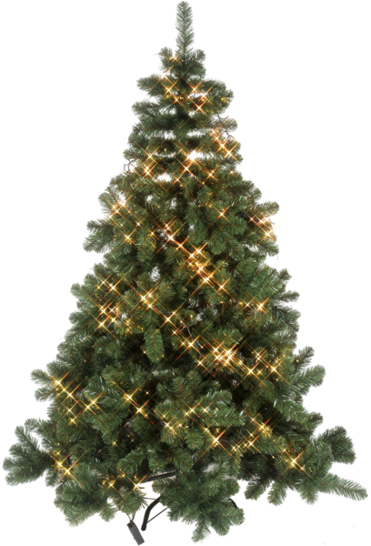 Spruce Christmas Tree Clipart (600x600), Png Download