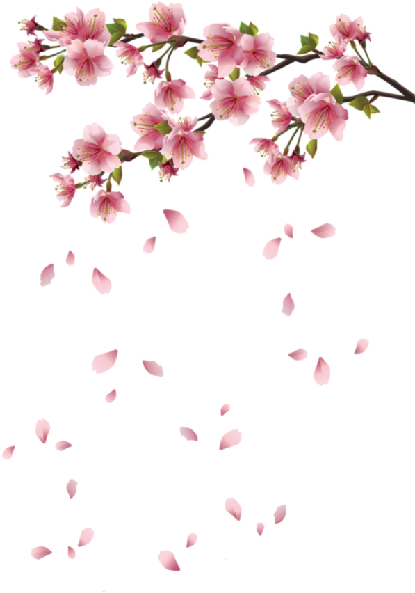 Pin L I S - Rose Clipart (1080x1920), Png Download